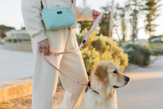 Adjustable Length Lead - Pink